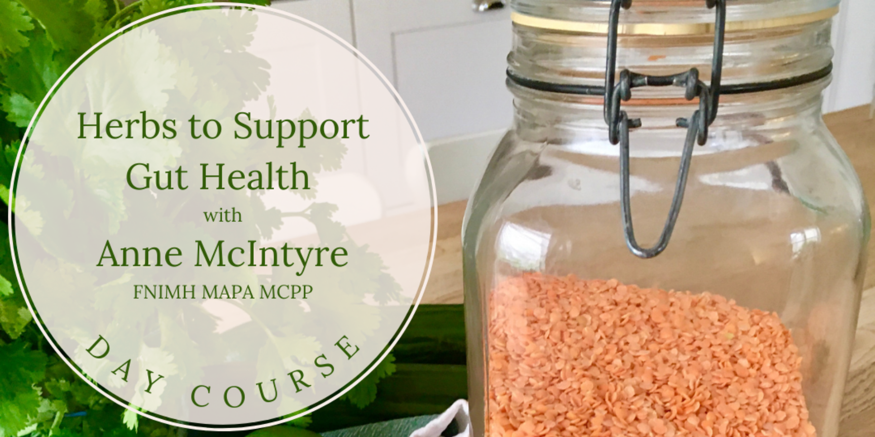 Herbs to Support Gut Health with Anne McIntyre